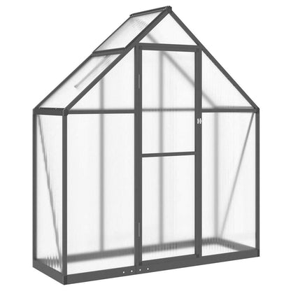 Gewächshaus mit Fundamentrahmen Silbern 169x58x195cm Aluminimum