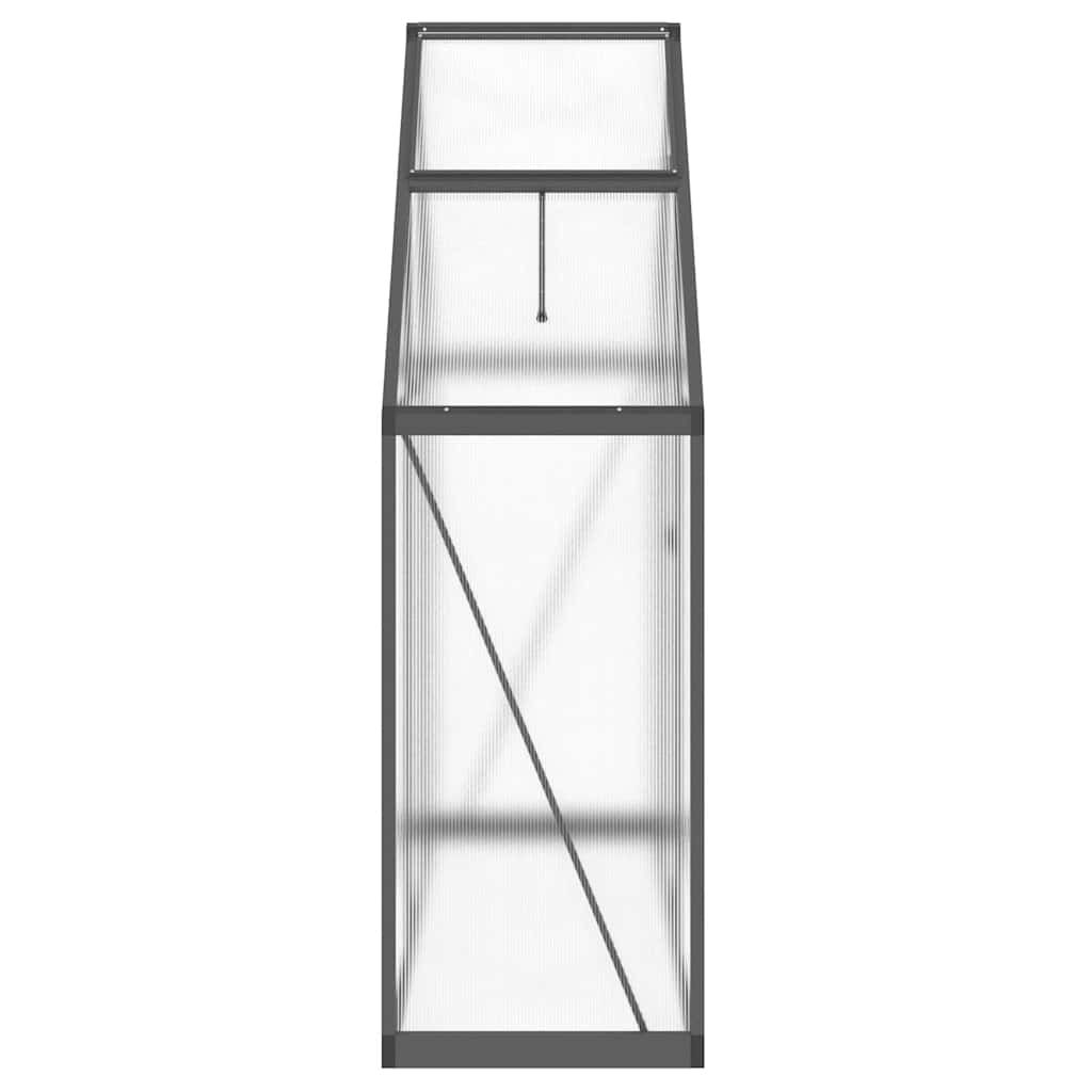 Gewächshaus mit Fundamentrahmen Silbern 169x58x195cm Aluminimum