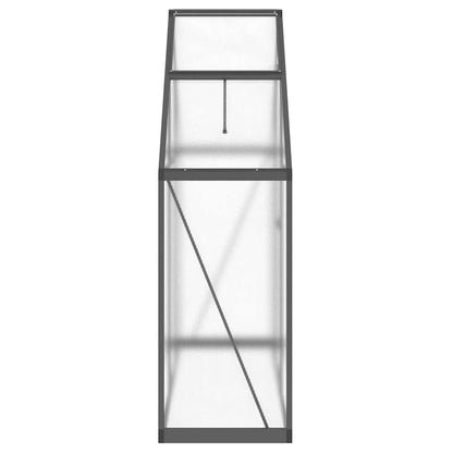 Gewächshaus mit Fundamentrahmen Silbern 169x58x195cm Aluminimum