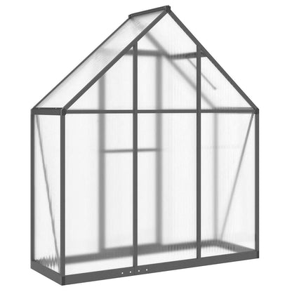 Gewächshaus mit Fundamentrahmen Silbern 169x58x195cm Aluminimum