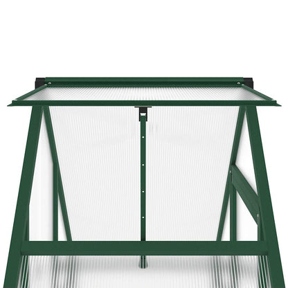 Gewächshaus mit Fundamentrahmen Silbern 169x58x195cm Aluminimum