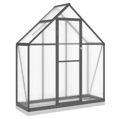 Gewächshaus mit Fundamentrahmen Silbern 169x58x195cm Aluminimum
