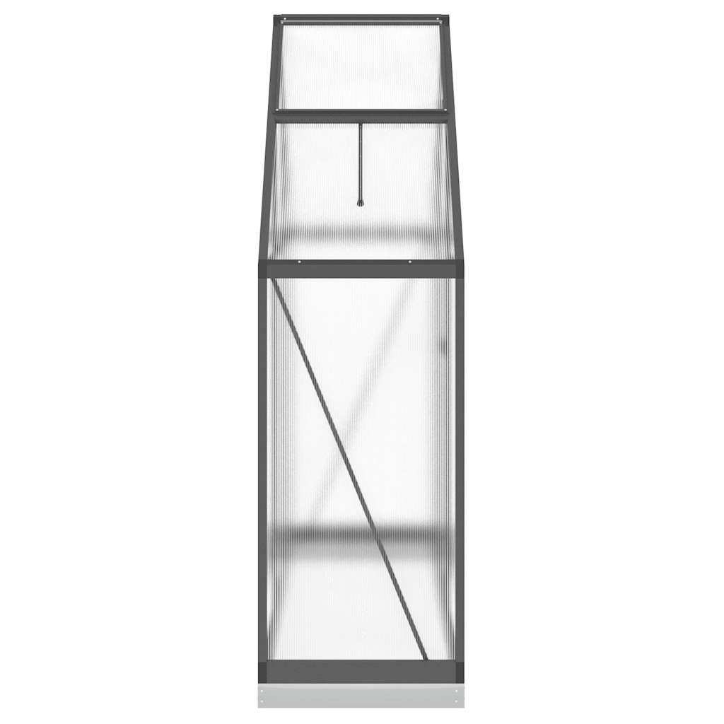 Gewächshaus mit Fundamentrahmen Silbern 169x58x195cm Aluminimum