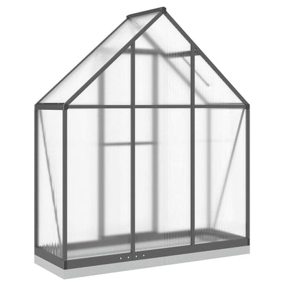 Gewächshaus mit Fundamentrahmen Silbern 169x58x195cm Aluminimum
