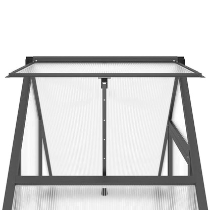 Gewächshaus mit Fundamentrahmen Silbern 169x58x195cm Aluminimum