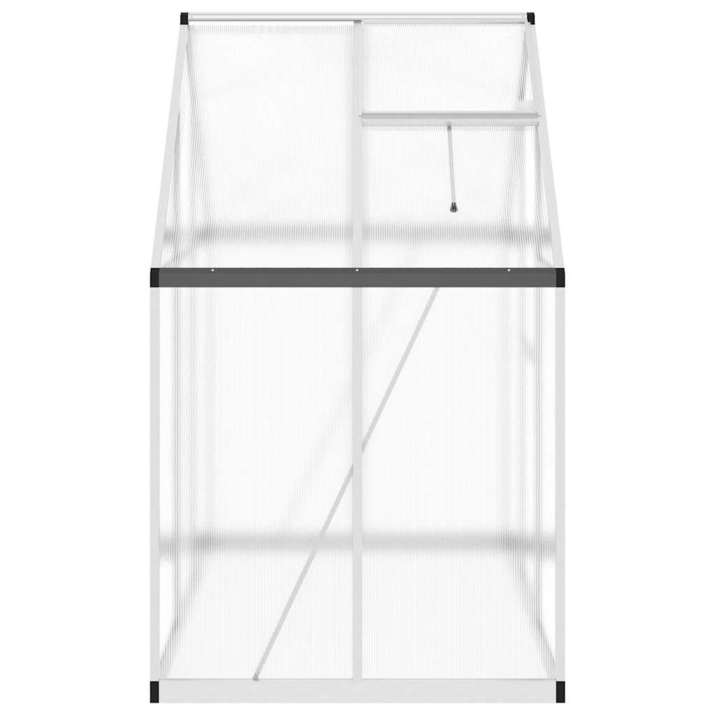 Gewächshaus mit Fundamentrahmen Silbern 169x58x195cm Aluminimum