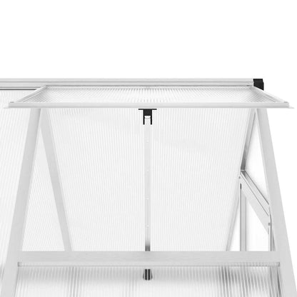 Gewächshaus mit Fundamentrahmen Silbern 169x58x195cm Aluminimum