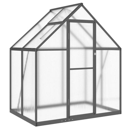 Gewächshaus mit Fundamentrahmen Silbern 169x58x195cm Aluminimum
