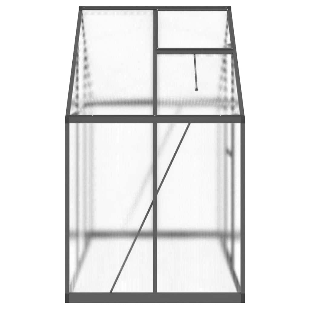 Gewächshaus mit Fundamentrahmen Silbern 169x58x195cm Aluminimum