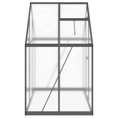 Gewächshaus mit Fundamentrahmen Silbern 169x58x195cm Aluminimum