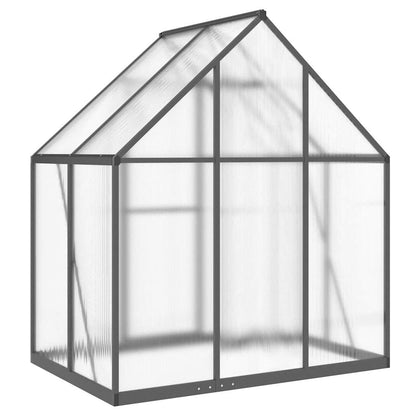 Gewächshaus mit Fundamentrahmen Silbern 169x58x195cm Aluminimum