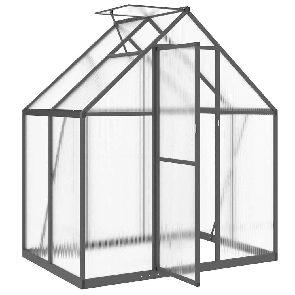 Gewächshaus mit Fundamentrahmen Silbern 169x58x195cm Aluminimum