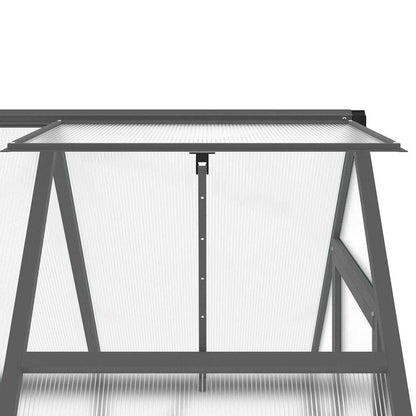 Gewächshaus mit Fundamentrahmen Silbern 169x58x195cm Aluminimum