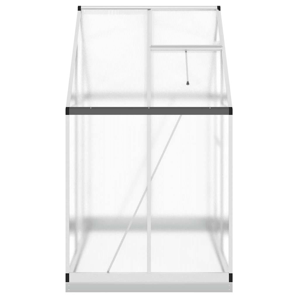 Gewächshaus mit Fundamentrahmen Silbern 169x58x195cm Aluminimum