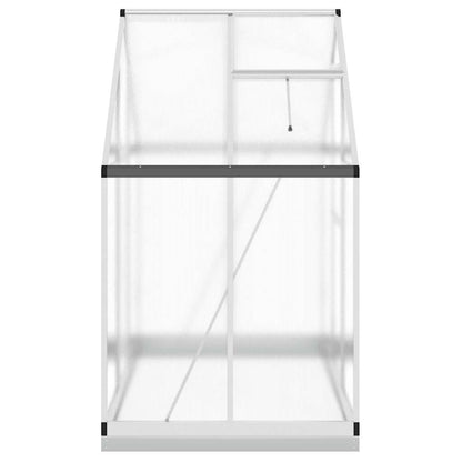 Gewächshaus mit Fundamentrahmen Silbern 169x58x195cm Aluminimum
