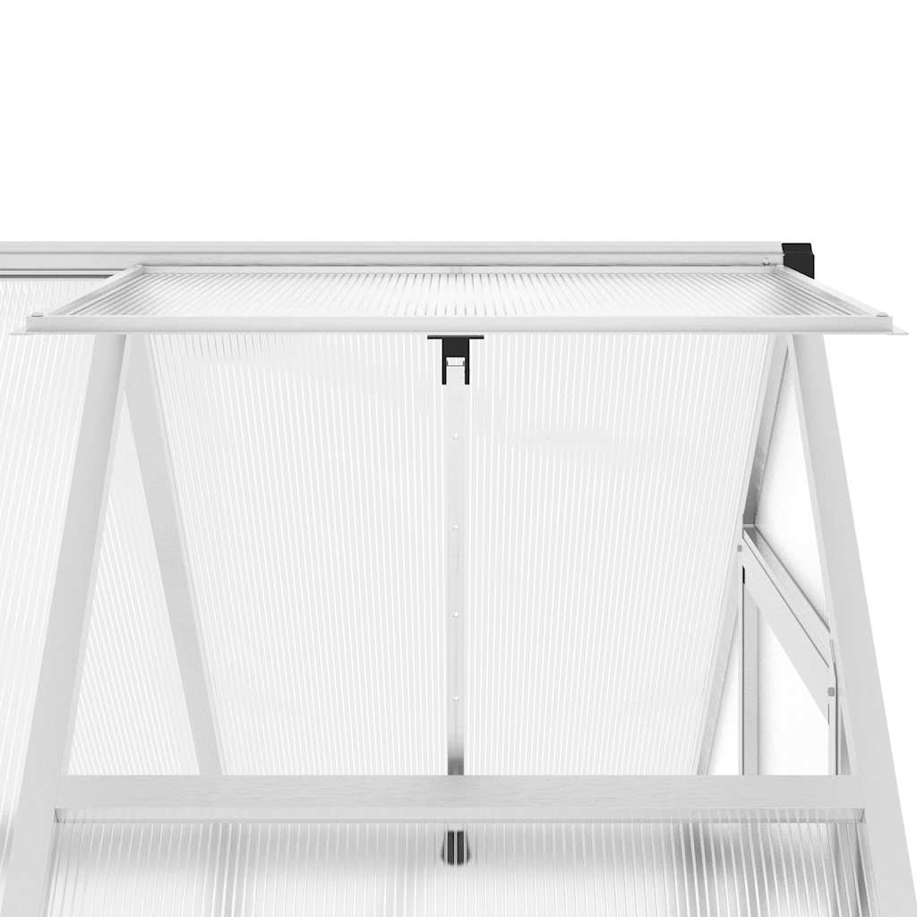 Gewächshaus mit Fundamentrahmen Silbern 169x58x195cm Aluminimum