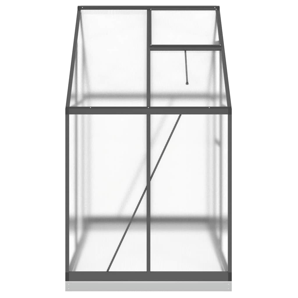 Gewächshaus mit Fundamentrahmen Silbern 169x58x195cm Aluminimum