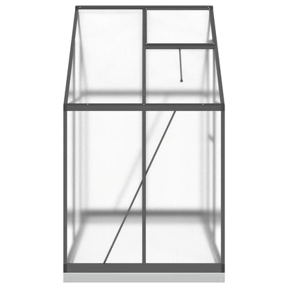 Gewächshaus mit Fundamentrahmen Silbern 169x58x195cm Aluminimum