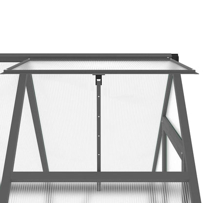 Gewächshaus mit Fundamentrahmen Silbern 169x58x195cm Aluminimum