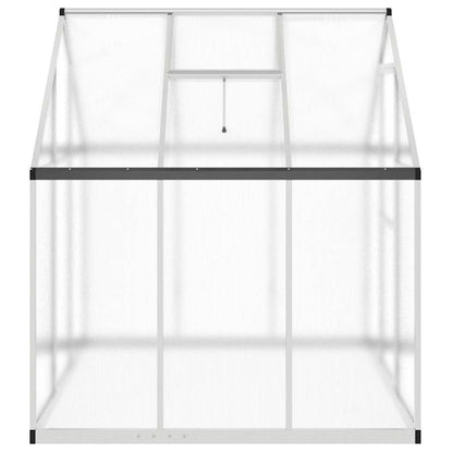 Gewächshaus mit Fundamentrahmen Silbern 169x58x195cm Aluminimum