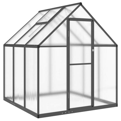 Gewächshaus mit Fundamentrahmen Silbern 169x58x195cm Aluminimum