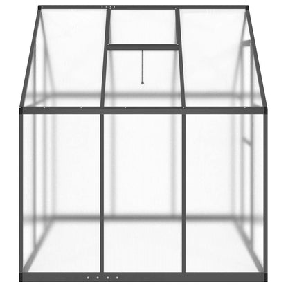 Gewächshaus mit Fundamentrahmen Silbern 169x58x195cm Aluminimum