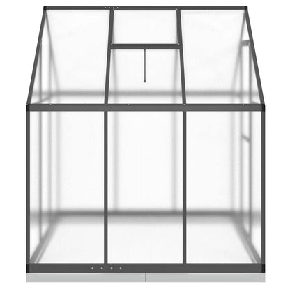 Gewächshaus mit Fundamentrahmen Silbern 169x58x195cm Aluminimum