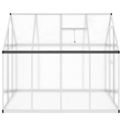 Gewächshaus mit Fundamentrahmen Silbern 169x58x195cm Aluminimum