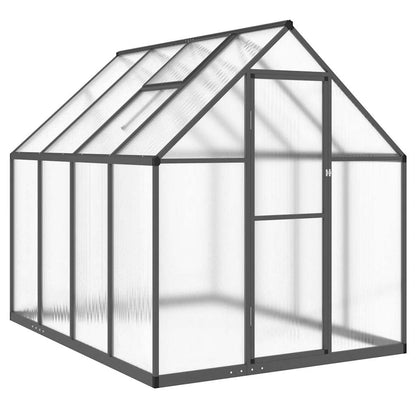 Gewächshaus mit Fundamentrahmen Silbern 169x58x195cm Aluminimum
