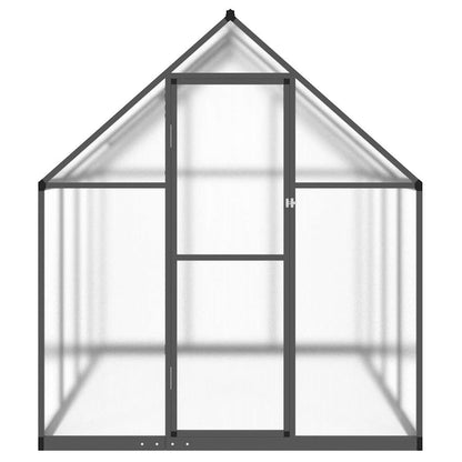 Gewächshaus mit Fundamentrahmen Silbern 169x58x195cm Aluminimum