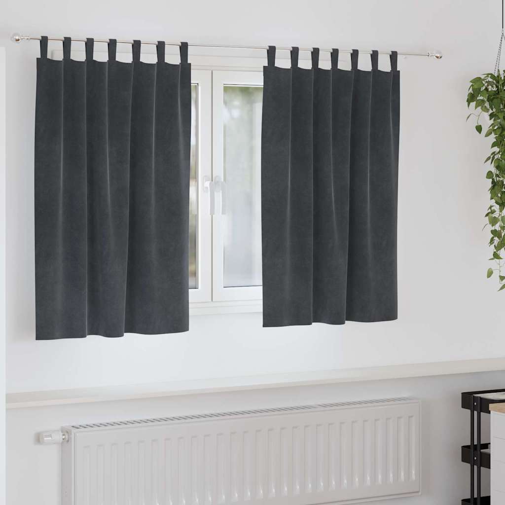 Verdunkelungsvorhänge 2 pcs Schwarz 140 x 140 cm Samt