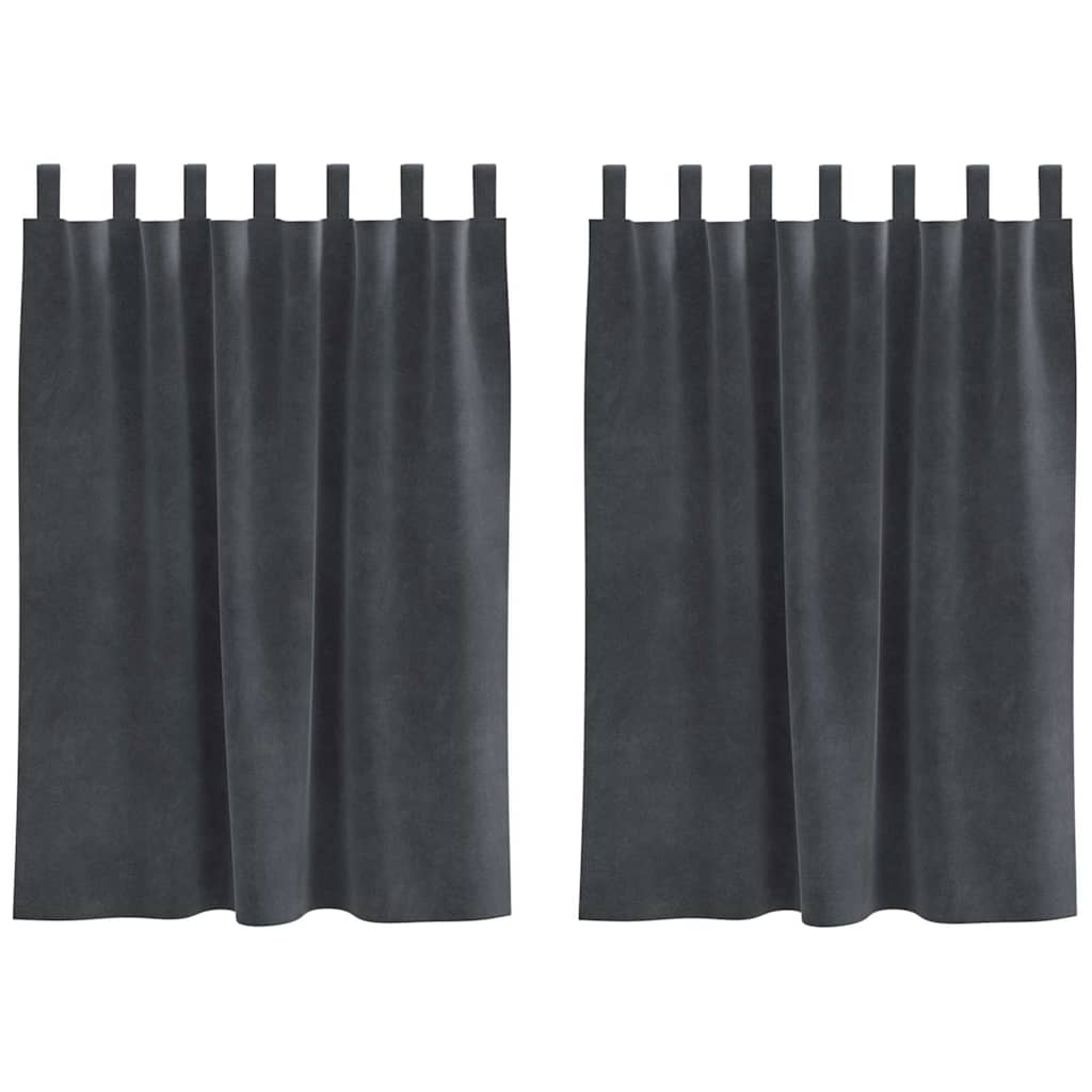 Verdunkelungsvorhänge 2 pcs Schwarz 140 x 140 cm Samt
