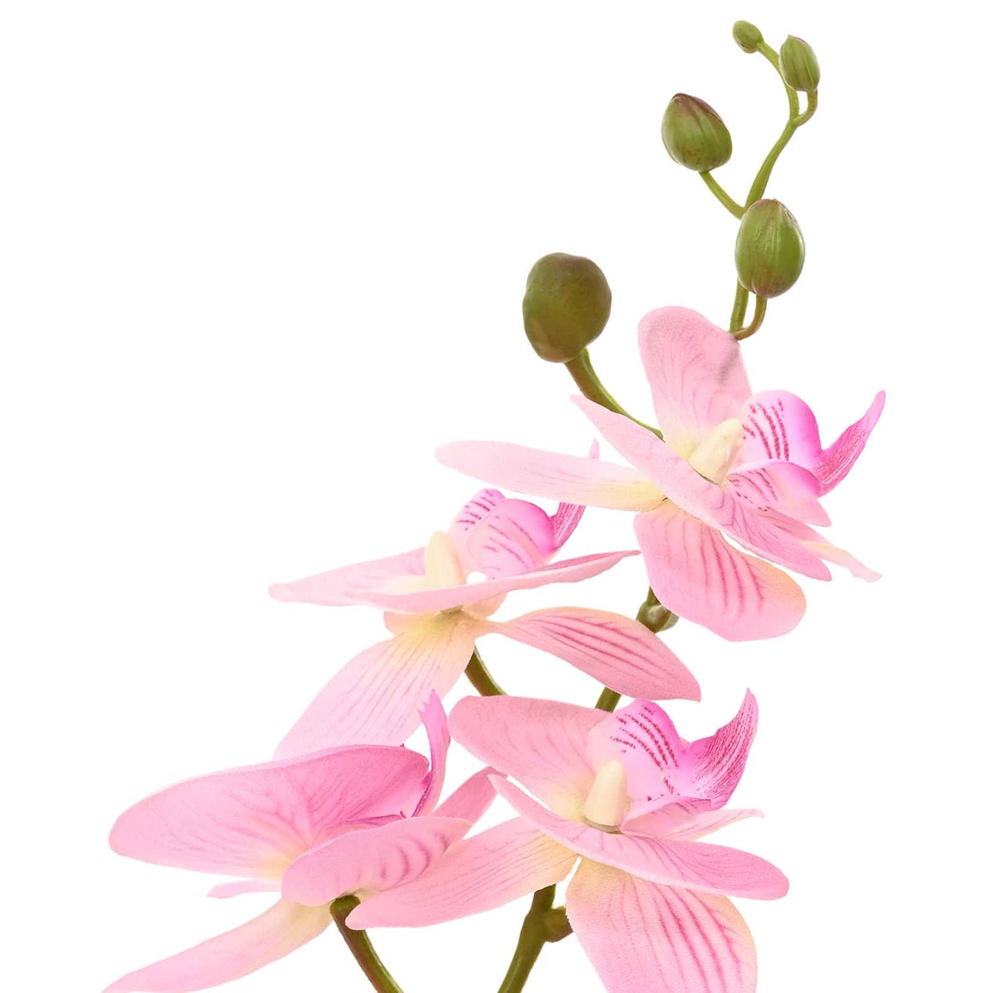 vidaXL Künstliche Orchideenpflanze mit Topf Weiß 45 x 15 x 65 cm